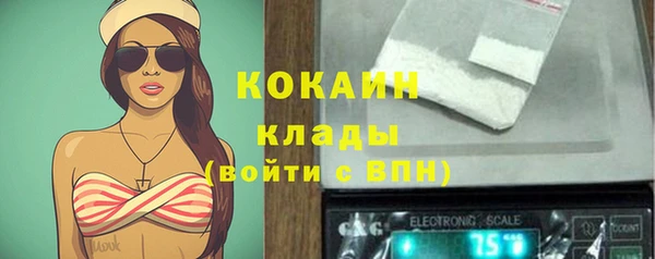 прущие грибы Красноперекопск