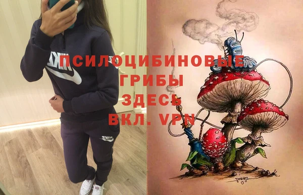 прущие грибы Красноперекопск