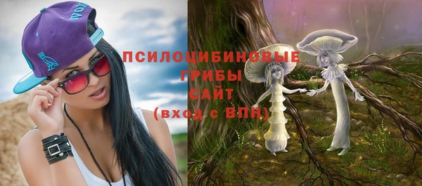 тгк Костерёво
